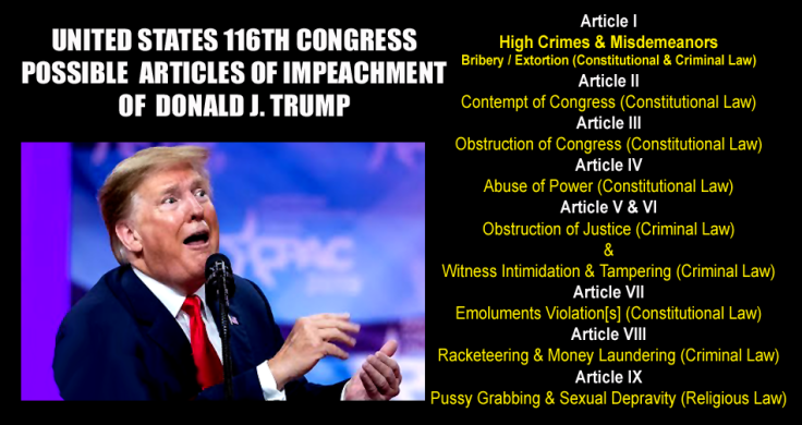 Trump Possible Articles of Impeachment_C copy